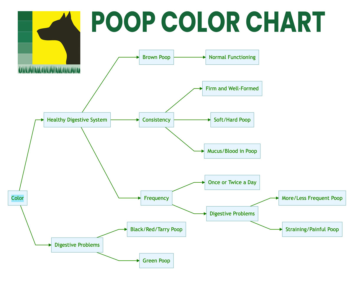Dog Poop Color Chart/ Infographic